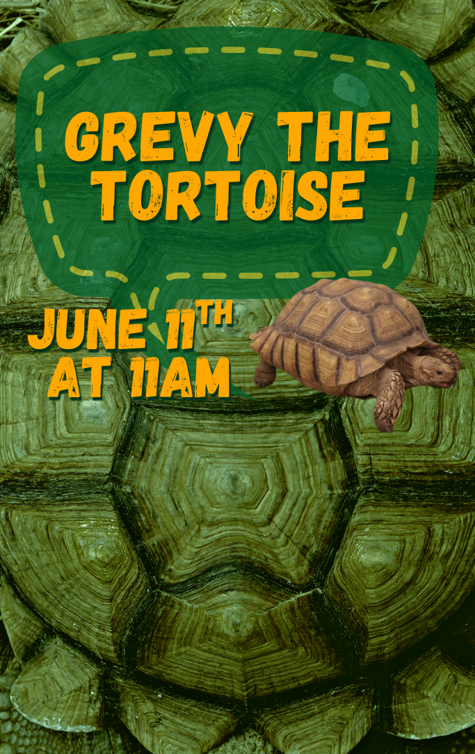 a turtle shell background with a picture of Grevy the 50lb Tortoise