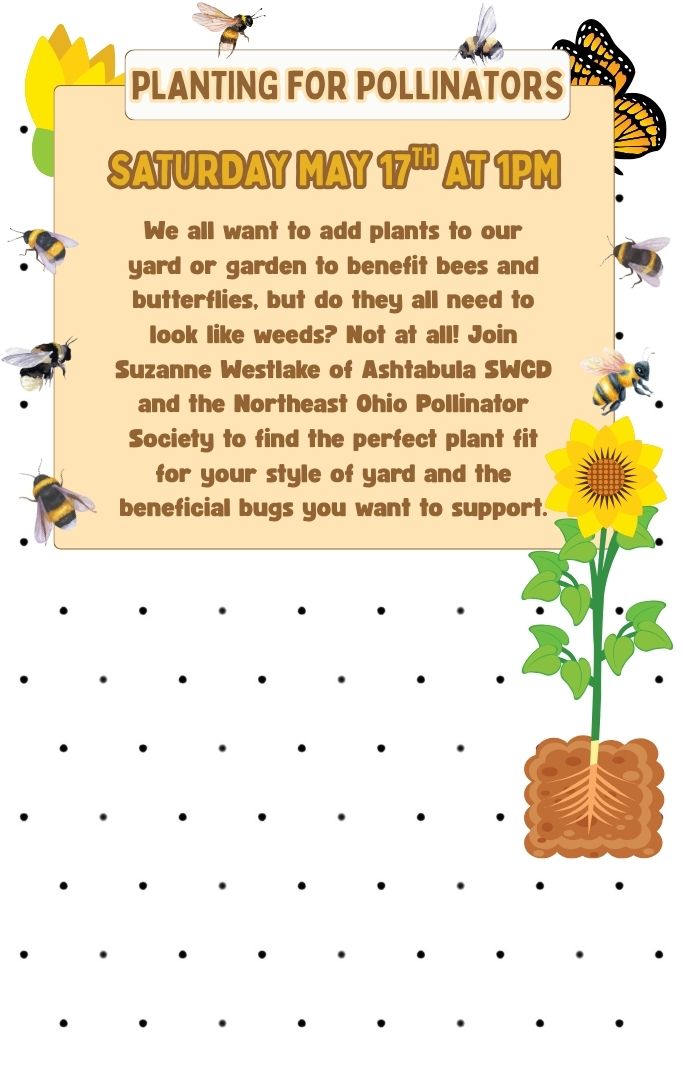 Planting for Pollinators Flyer with info. Bees and Yellow flowers on a polka dot background