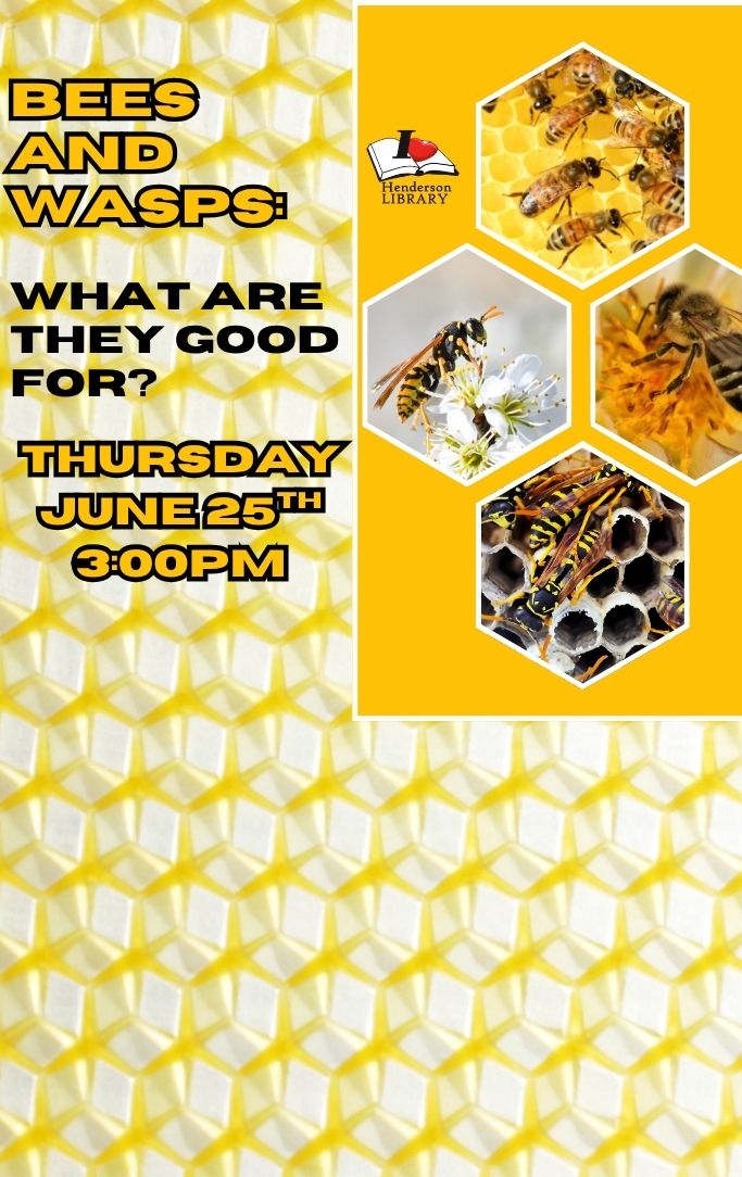 four honeycombs with bees and wasps in them 