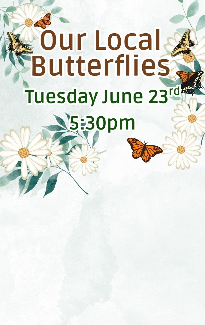 white daisies, greenery, and monarch butterflies