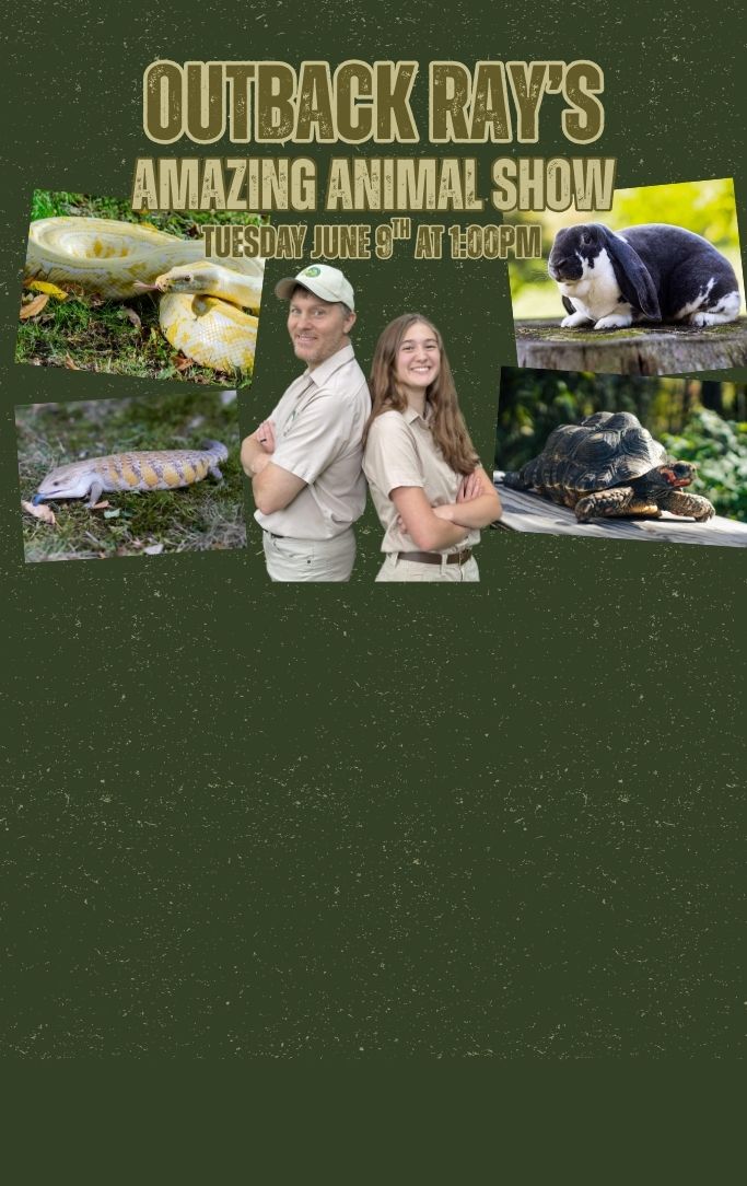 Outback Ray and Outback Sky with their snake, rabbit, and lizards