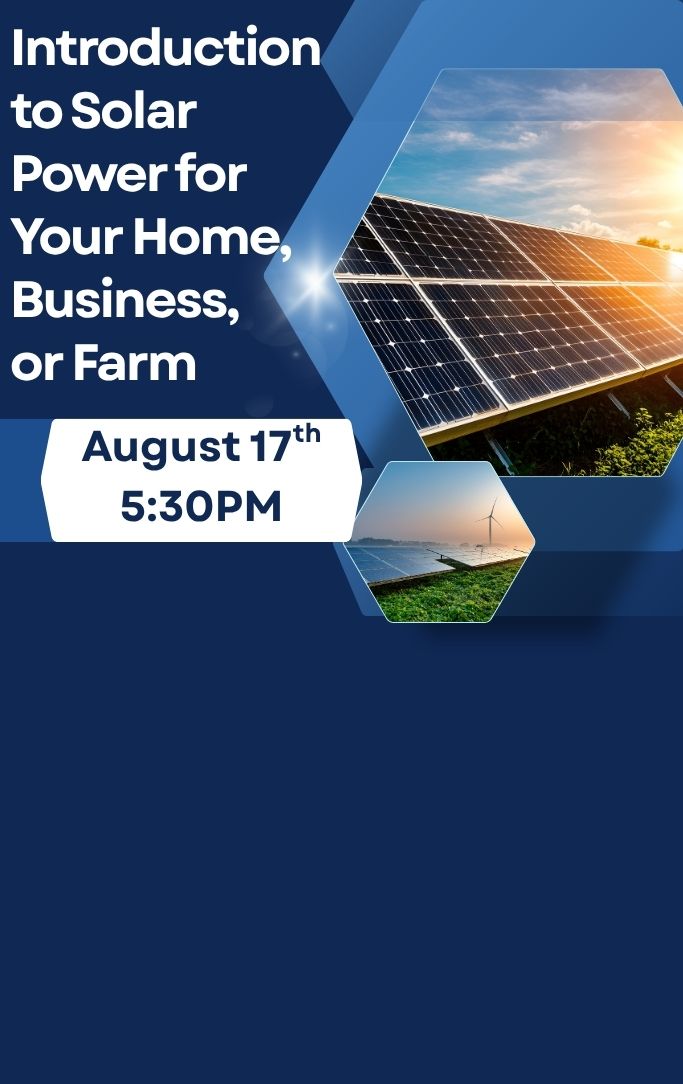 solar panels with sun shining on them