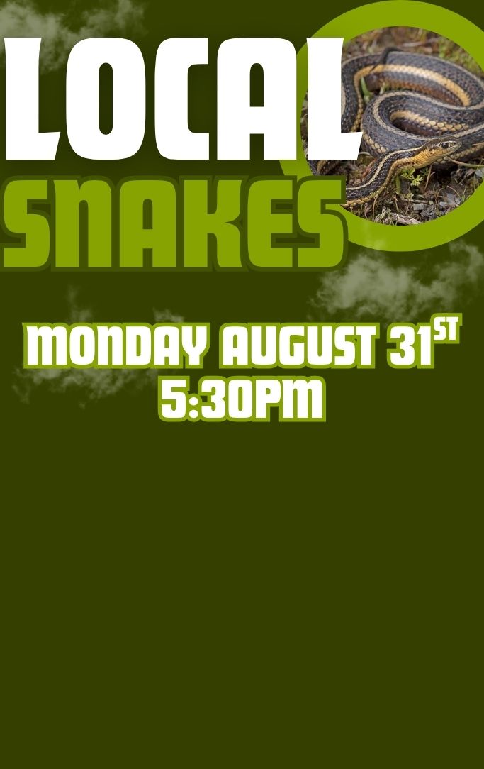 A Gartner snake
