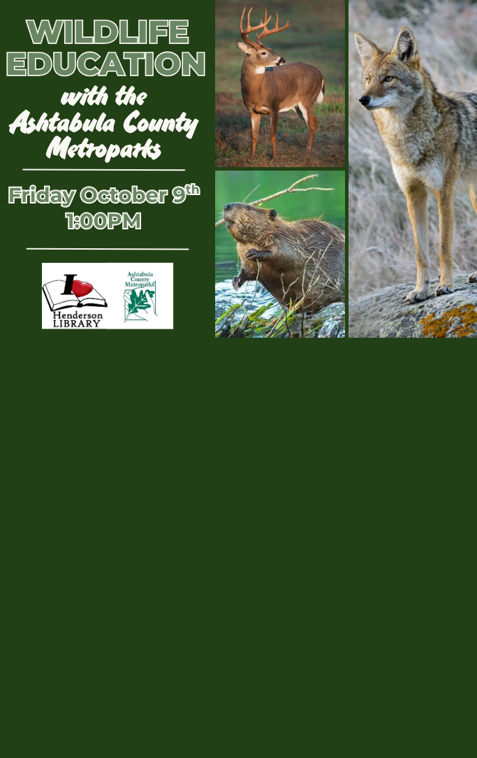 a coyote, a deer, and a beaver